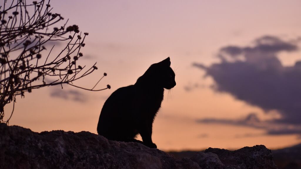 Sexta-feira 13 é o dia do azar? Como encarar a data de forma tranquila