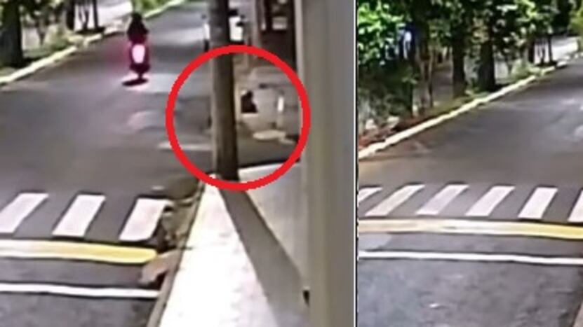 Ladrão se finge de saco de lixo