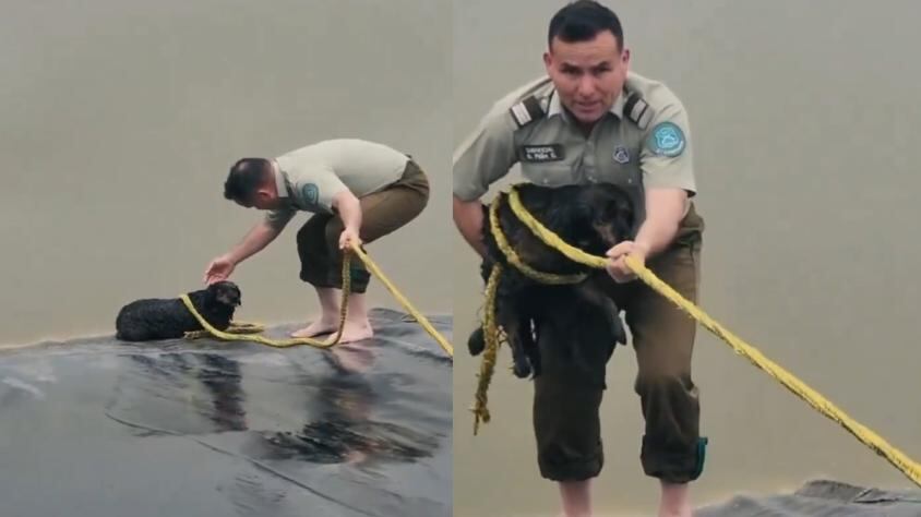 Twitter Carabineros de Chile