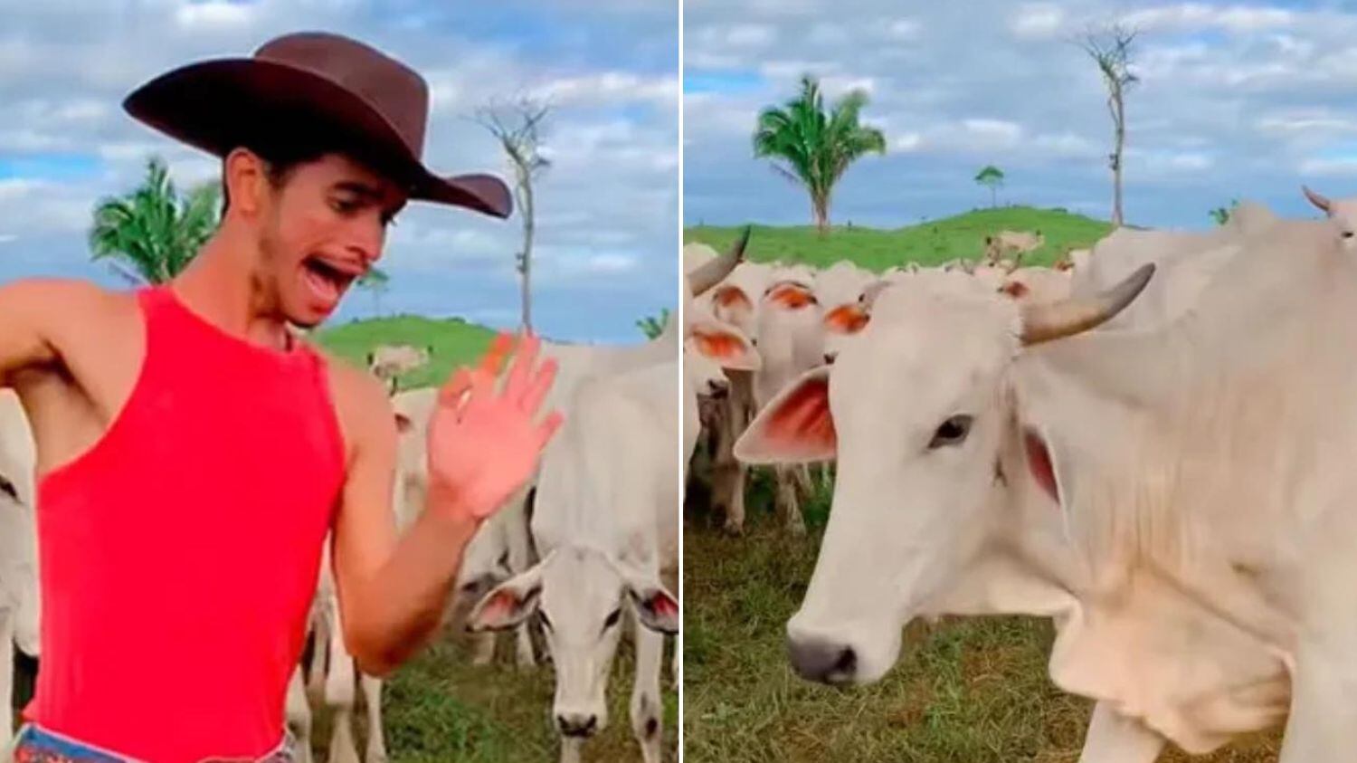 Ele foi até convidado para programa no SBT