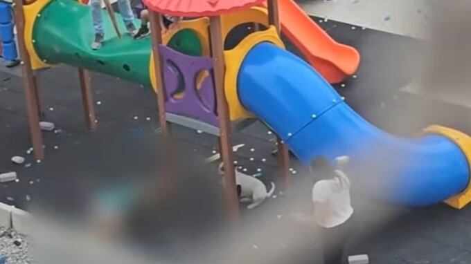 Dono dos animais ainda é procurado pela polícia