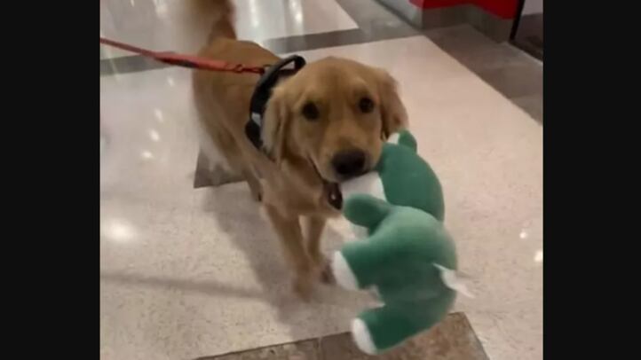 Foto: Instagram/Reprodução