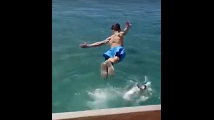 Vídeo: Menino salta de ponte em momento errado e é surpreendido por detalhe inusitado; assista