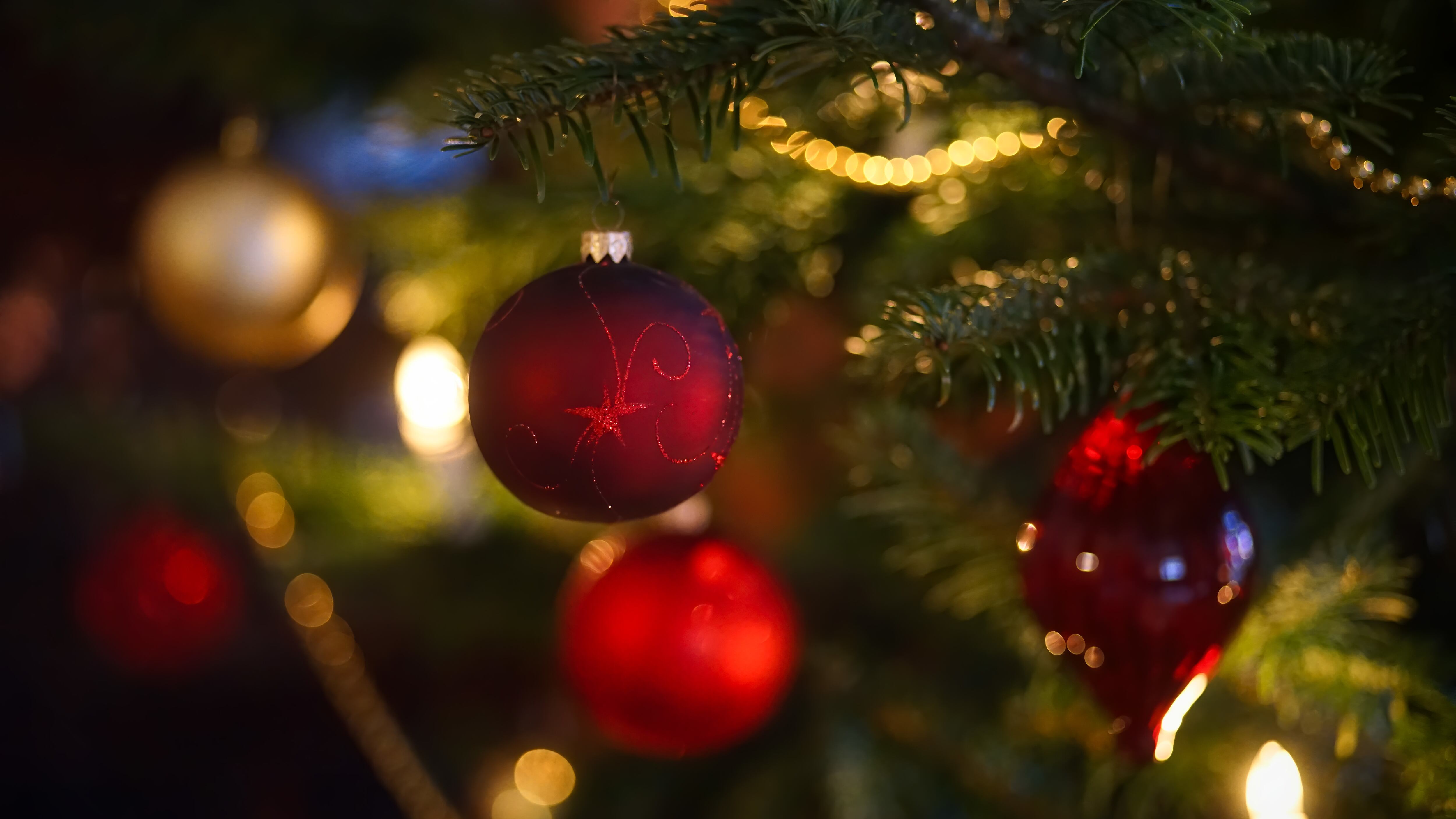 Ibirapuera vai inaugurar árvore de Natal amanhã