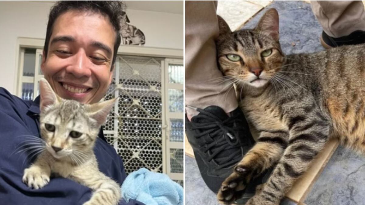 Polícia Civil do DF pediu a prisão do suspeito e aguarda resposta da Justiça.