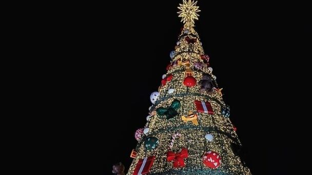 Natal