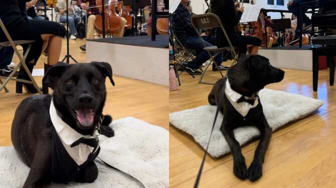 Foto: Lucian Barz via The Washington Post