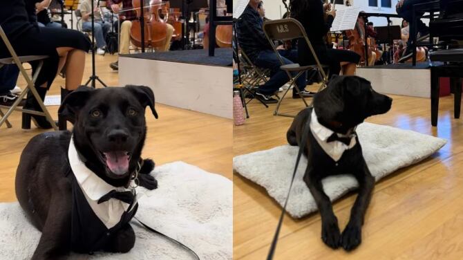 Foto: Lucian Barz via The Washington Post