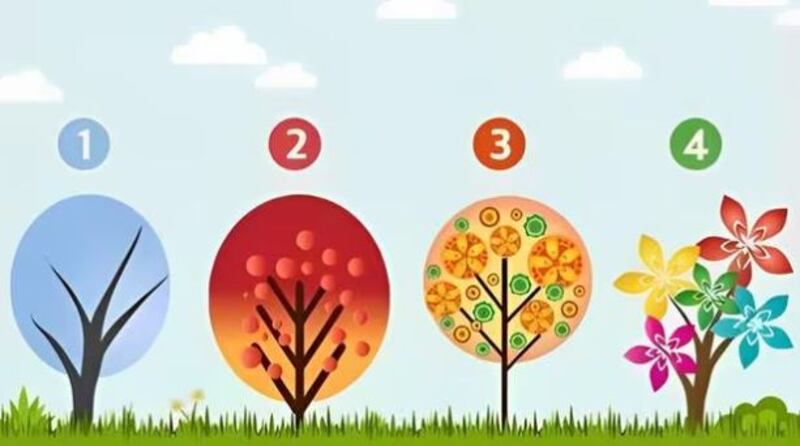 Imagen del test visual