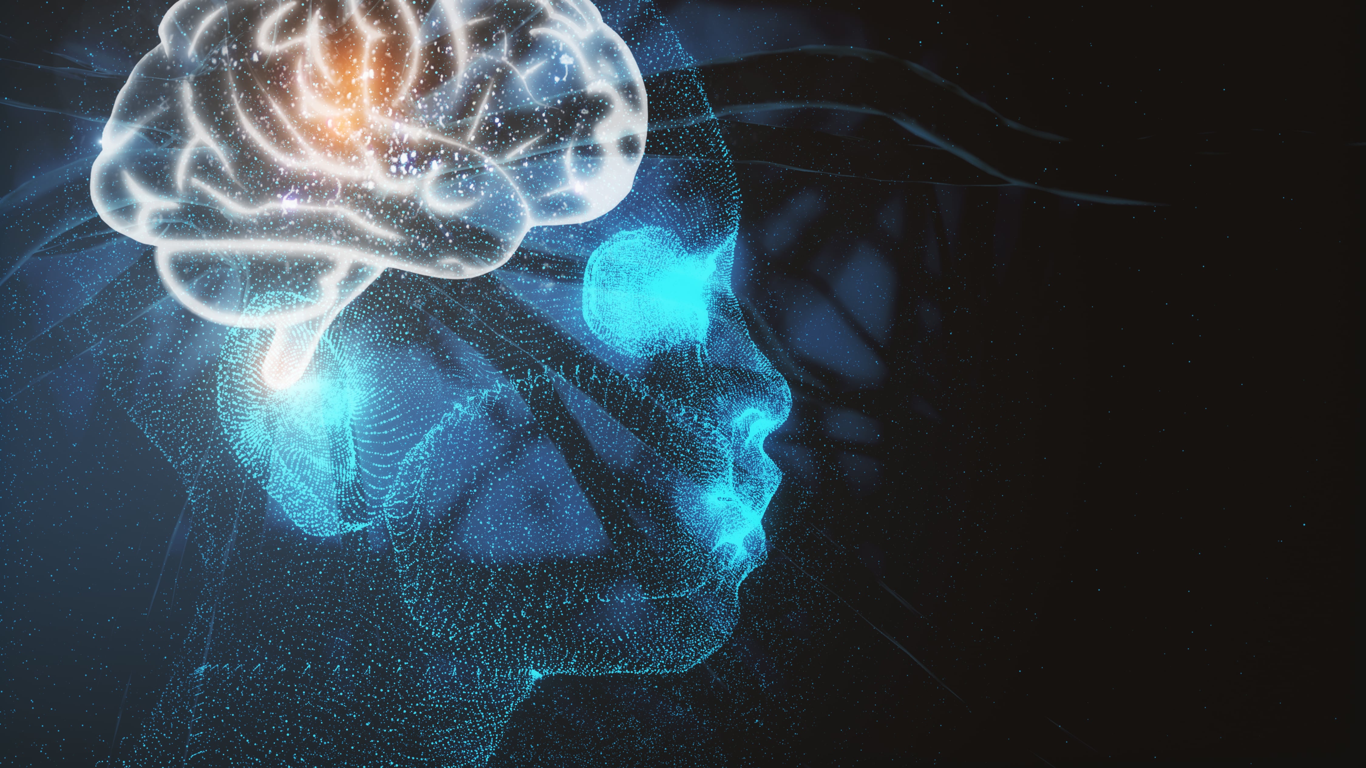 Orientación sexual con bases en el cerebro