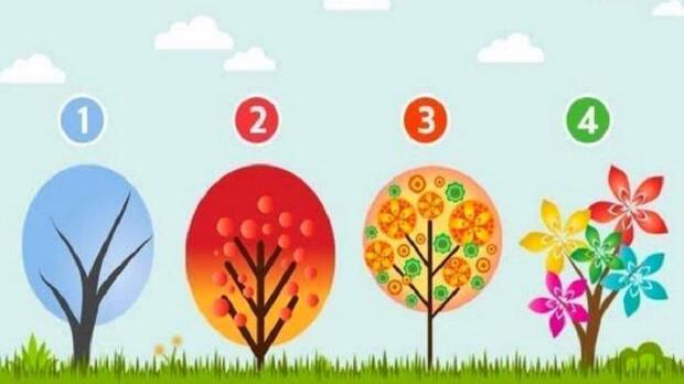 Faça o teste: a árvore escolhida dirá o sentimento que domina sua vida e trará um conselho muito importante