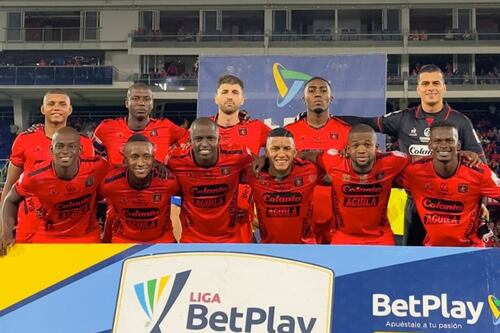 Ataque de abelhas africanas em sede esportiva deixa 2 feridos e causa terror