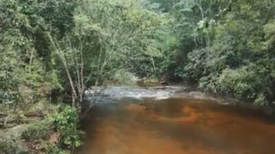 Registro impressionante