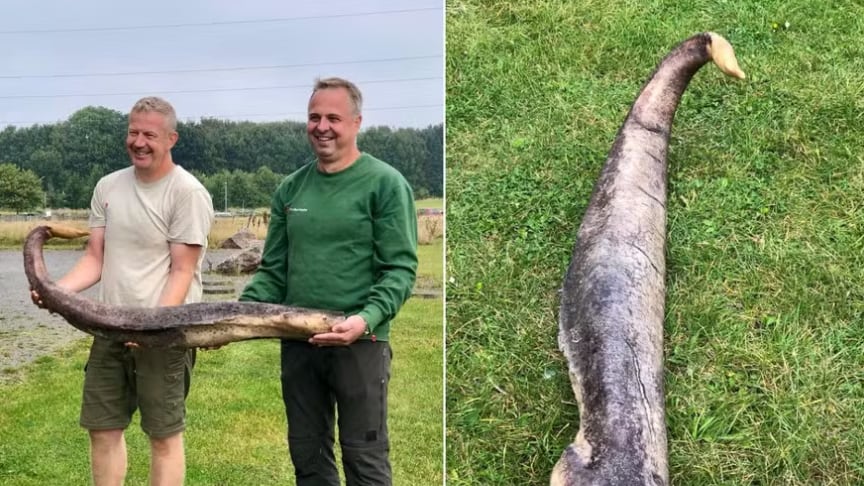 Foto: Reprodução/Instagram