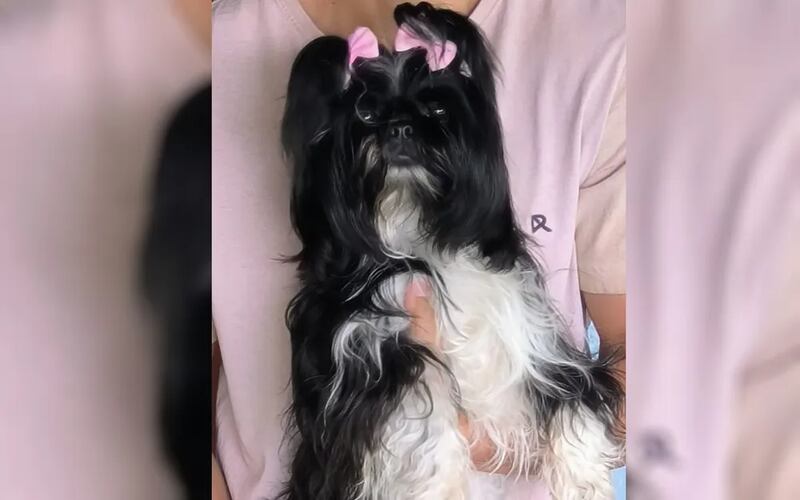 Polícia Civil apura o caso