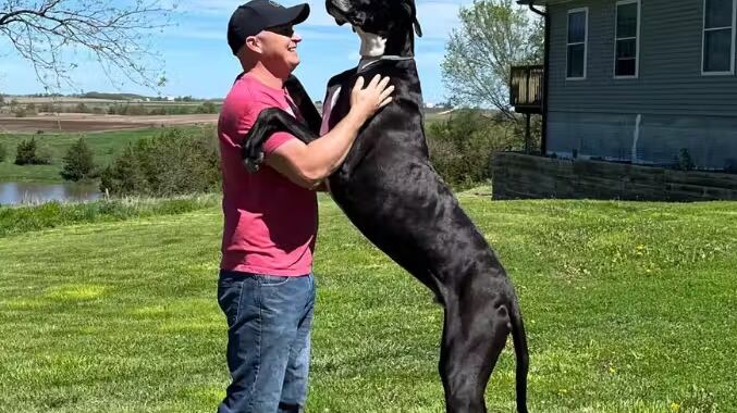 Foto: Guinness World Records.