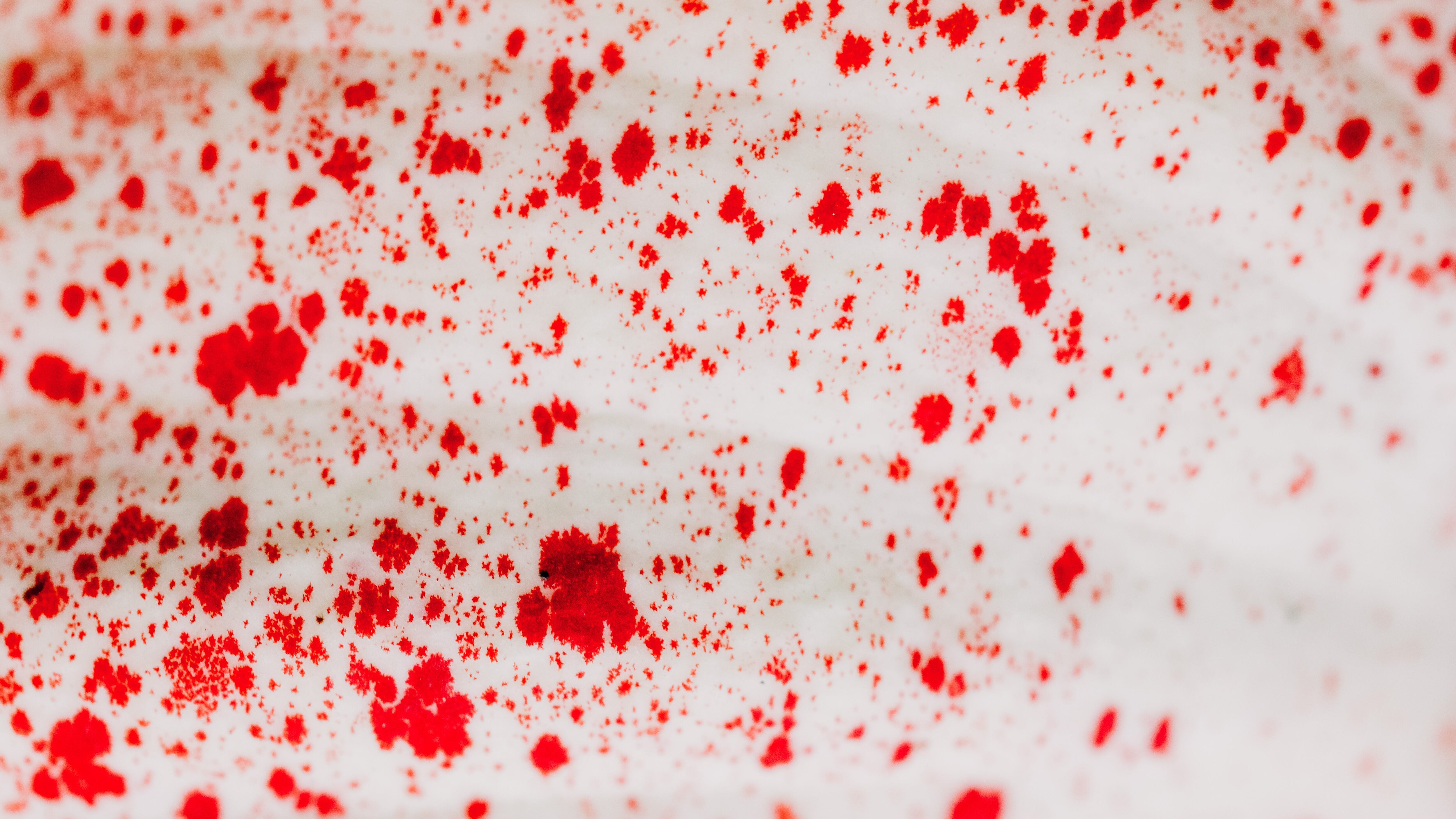 Sonhar com sangue: o que esse sonho tem a revelar?