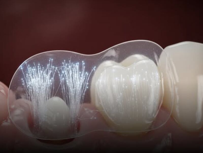 Universidad de Seoul - Regeneración Dental