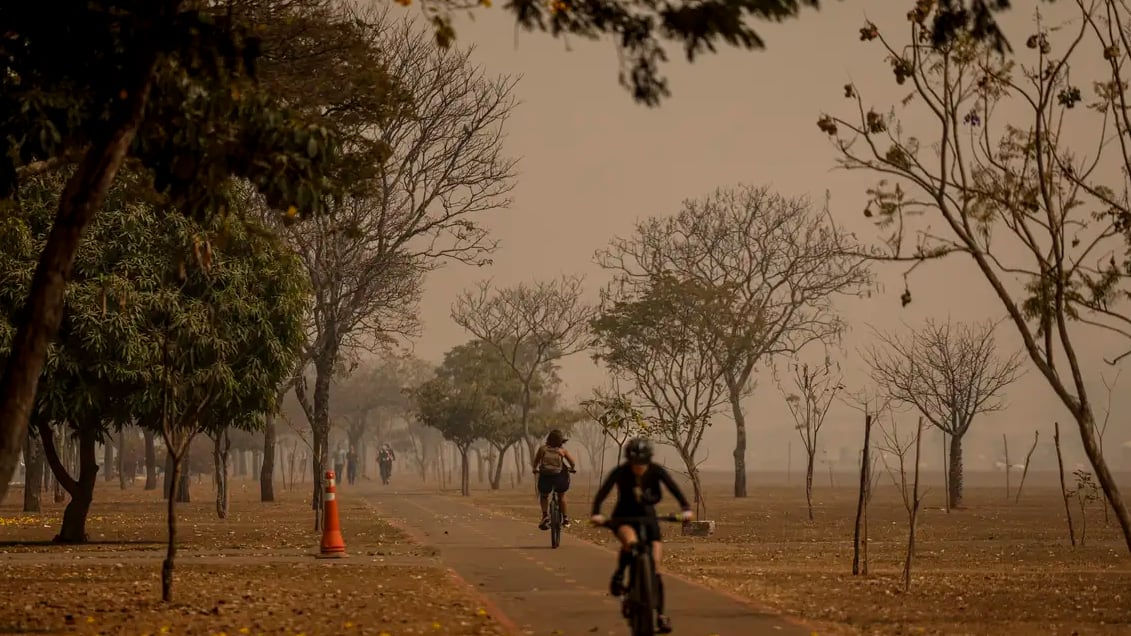 Fumaça provenientes de incêndios florestais pode continuar tomando os céus de SP
