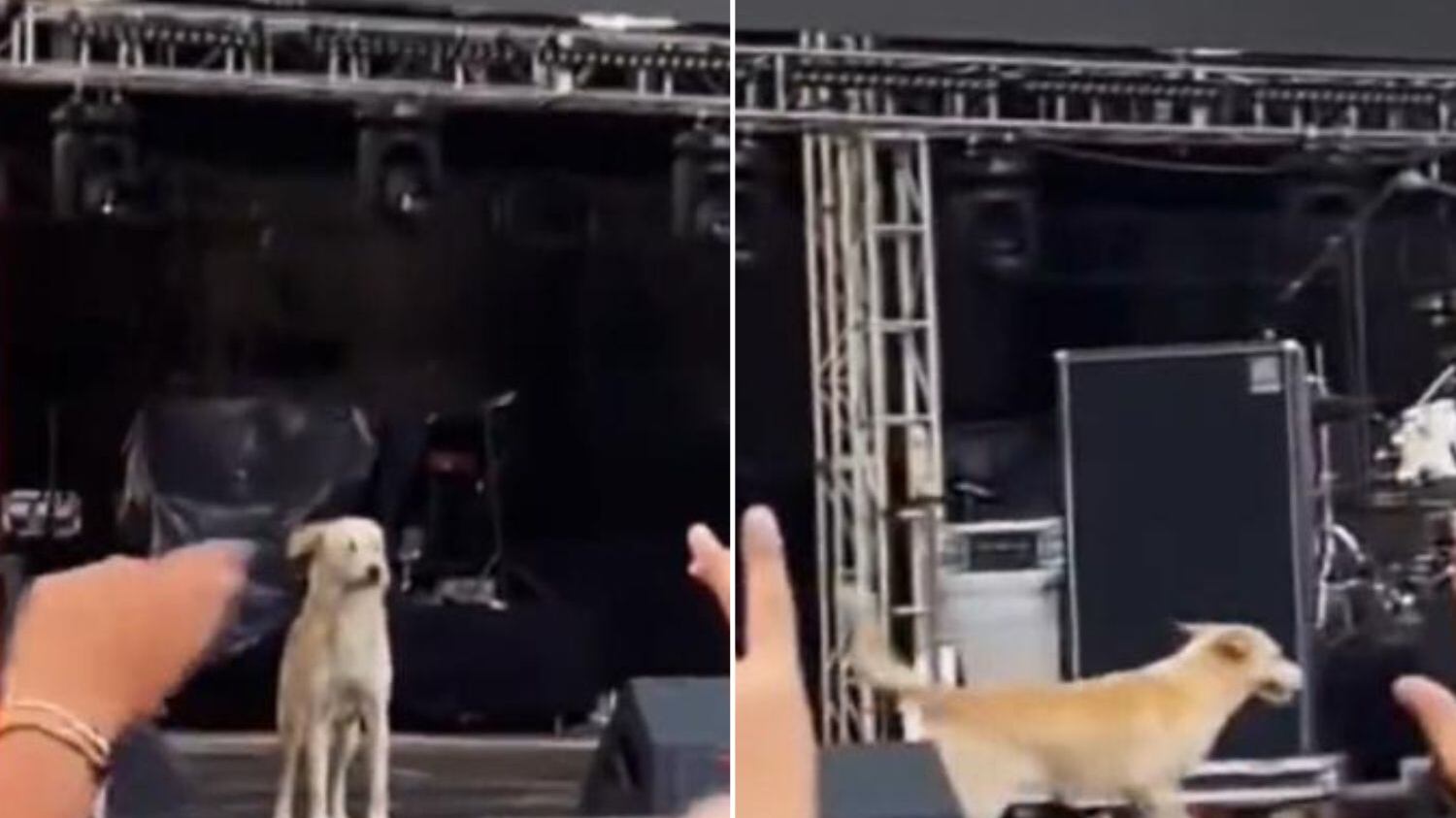 Internautas se confundiram e acharam que a cena foi no Rock in Rio