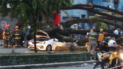 Taxista levava dois passageiros, que ficaram feridos e foram socorridos.