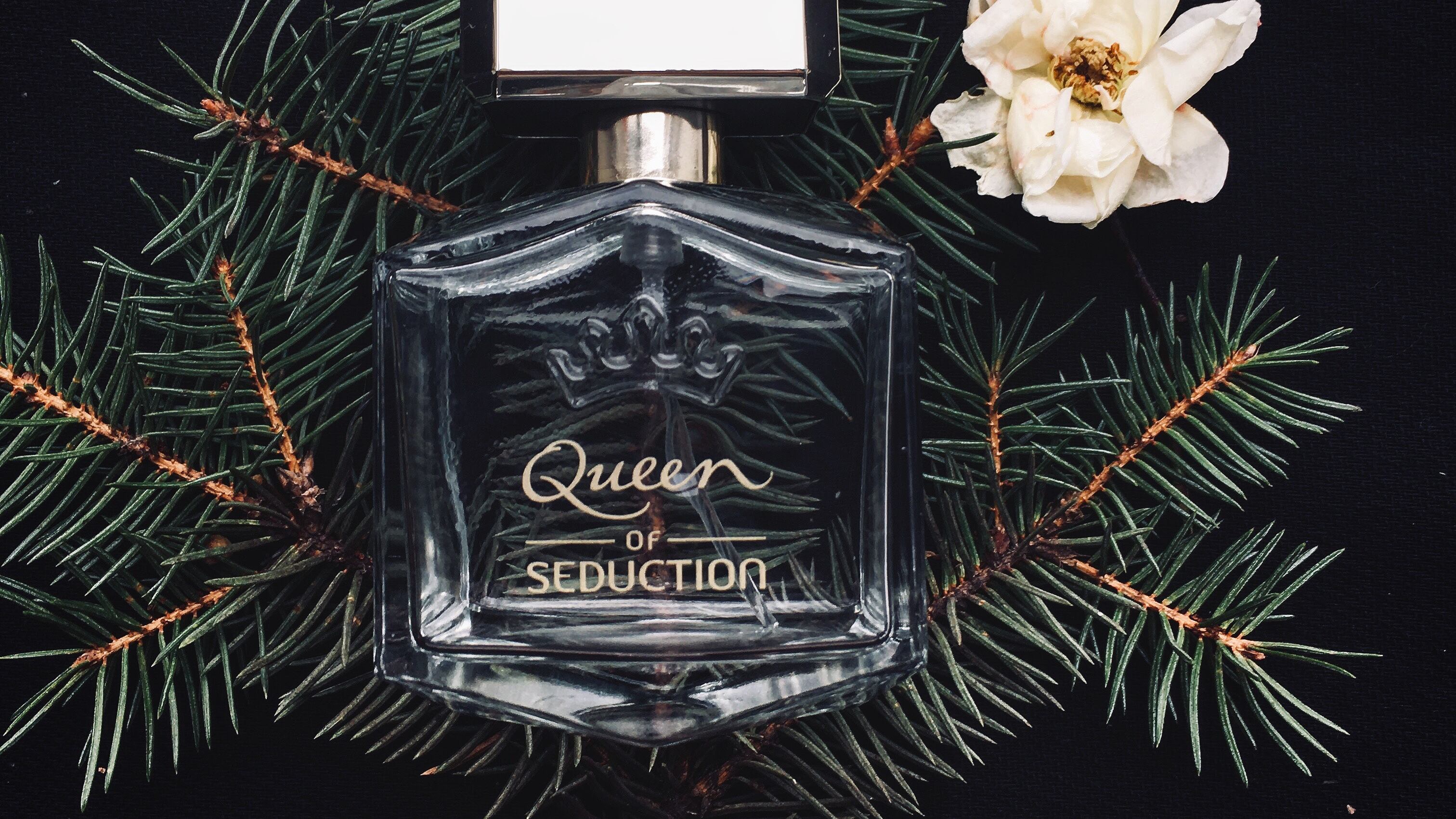 5 perfumes femininos que vão fazer as pessoas lembrarem de você Metro 5 perfumes femininos que vão fazer as pessoas lembrarem de você Metro