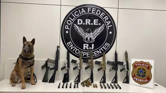 Homem é preso com sete fuzis no Rio de Janeiro