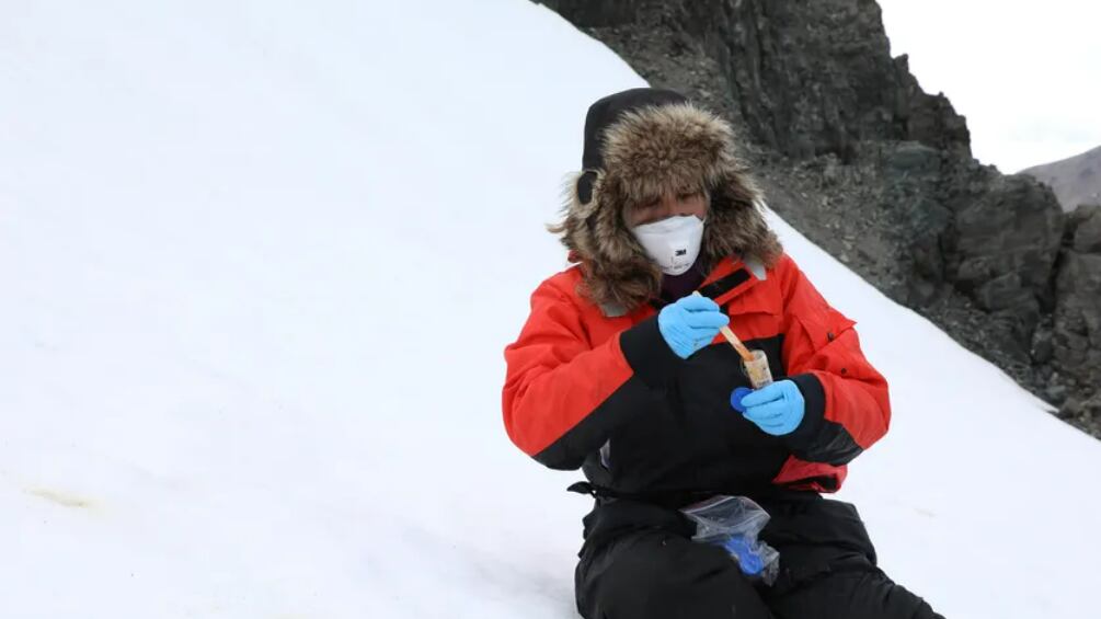 Cientista recolhe amostras de fungo no solo gelado