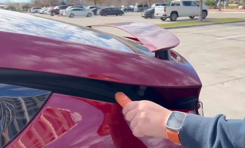 Tesla prueba de zanahoria