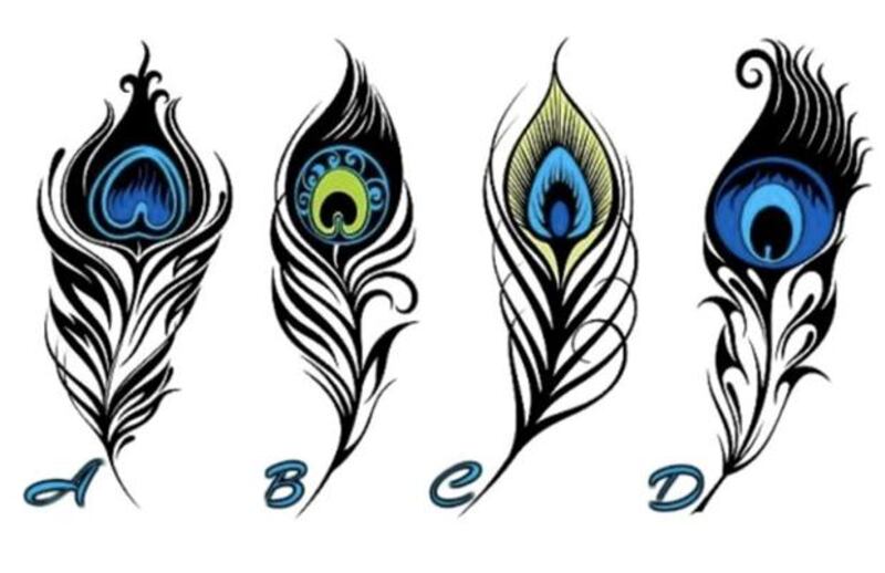 Escolha uma das penas e descubra o que falta na sua vida para que seja feliz