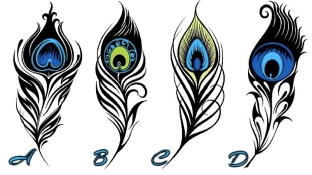 Escolha uma das penas e descubra o que falta na sua vida para que seja feliz