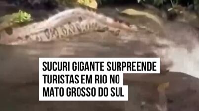 Sucuri gigante