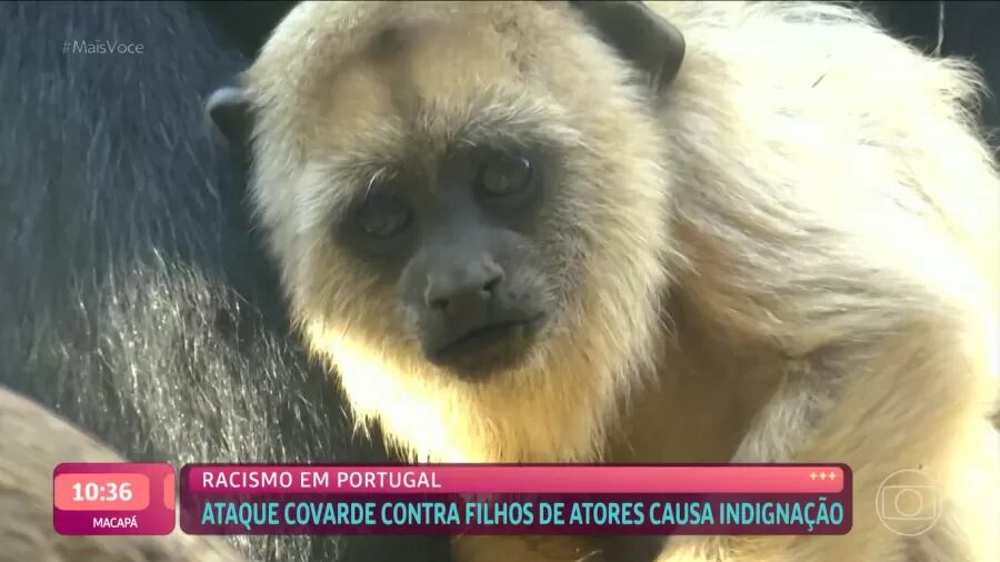 'Mais Você' exibe macaco ao falar sobre racismo
