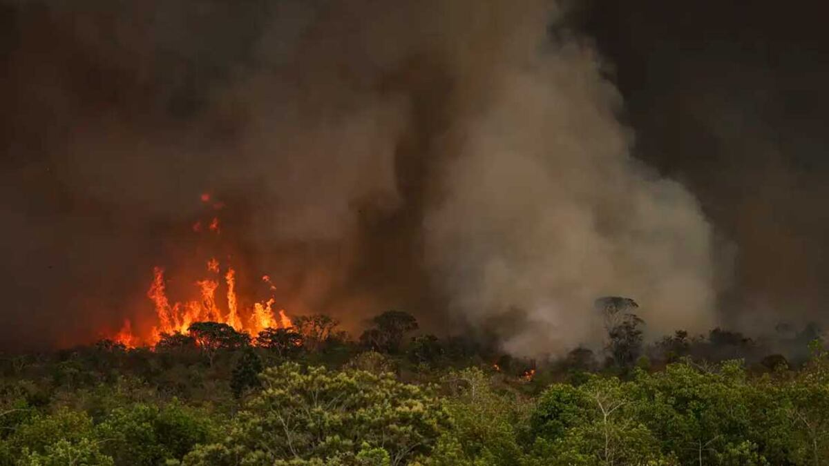 Incêndio causado pela onda de calor no centro-sul