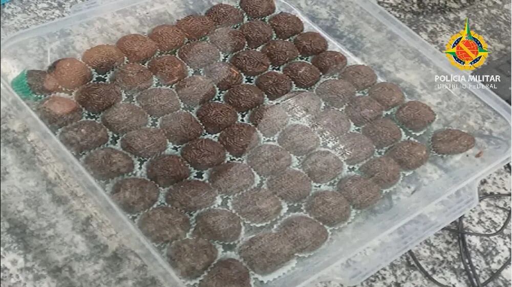 Menor também foi apreendido