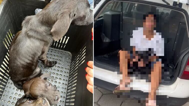 Padrasto foi acusado de agredir enteada de 13 anos