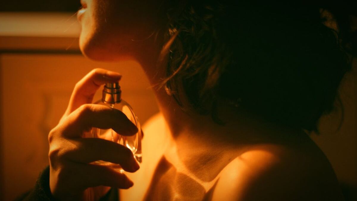 Los perfumes amaderados son excelente opción si queremos oler a elegancia