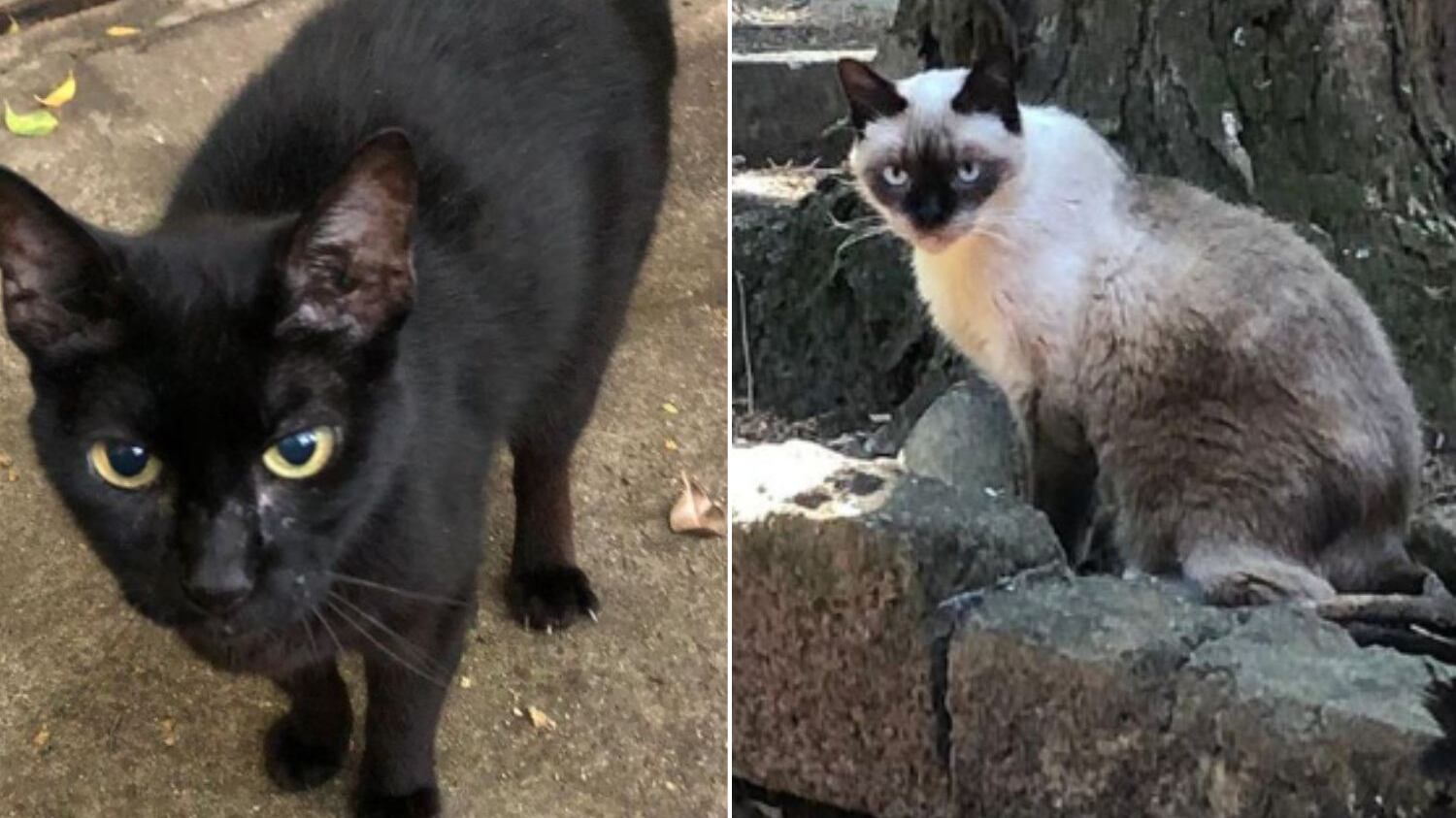 Caso é investigado pela polícia