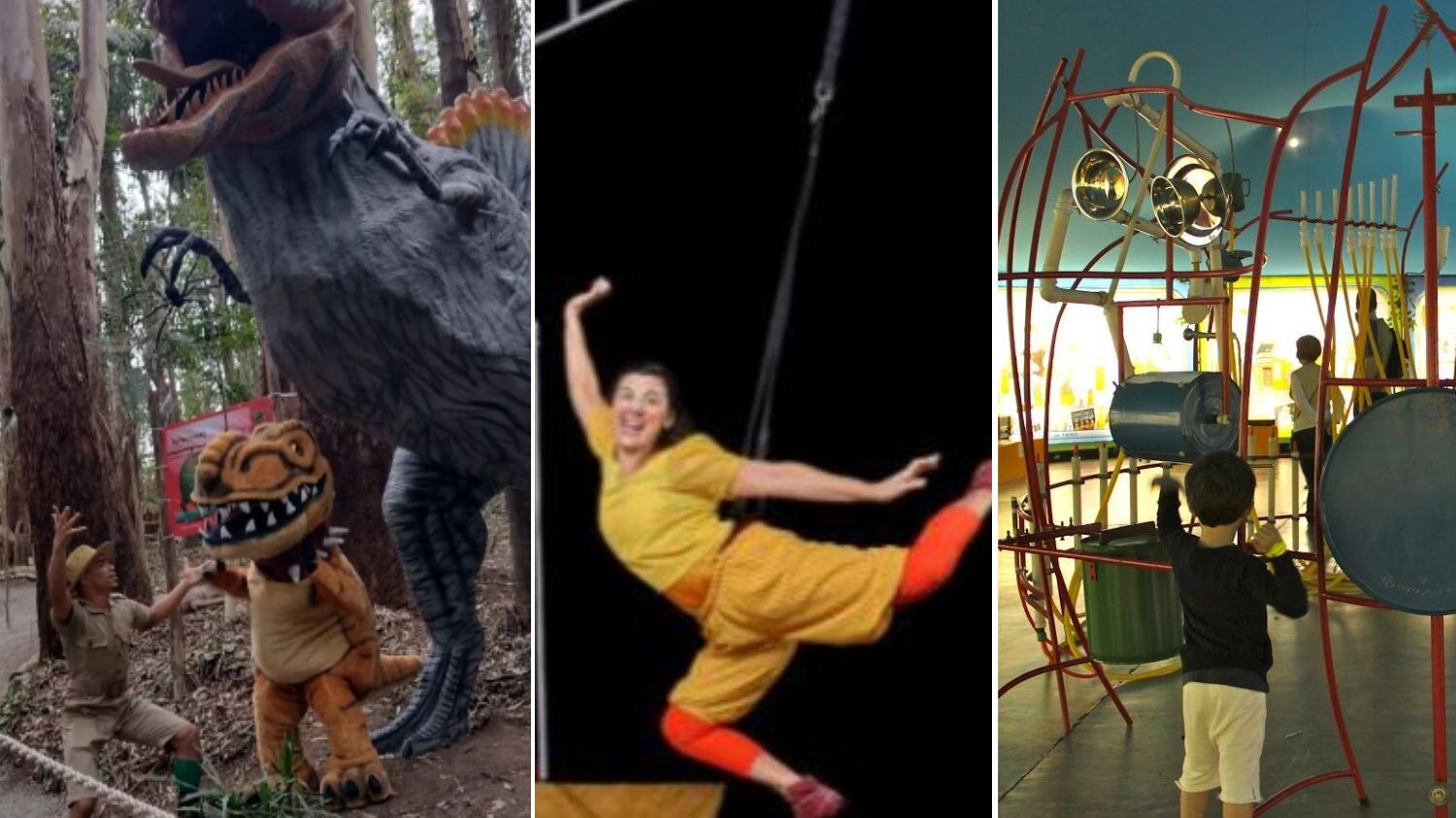 Dia delas será na próxima quarta-feira