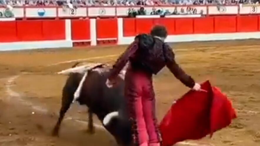 Toureiro é atingido por touro na Espanha