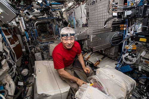 NASA: astronauta Mark Vande Hei bate novo importante recorde; descubra qual aqui