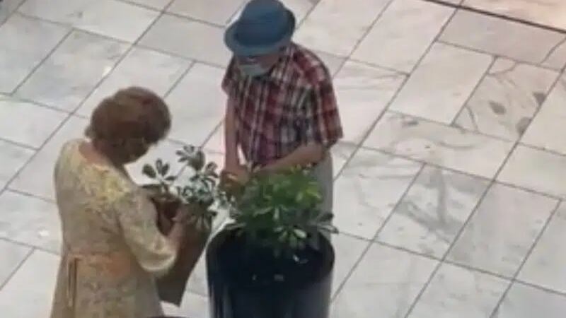 Eles foram flagrados por câmeras de segurança