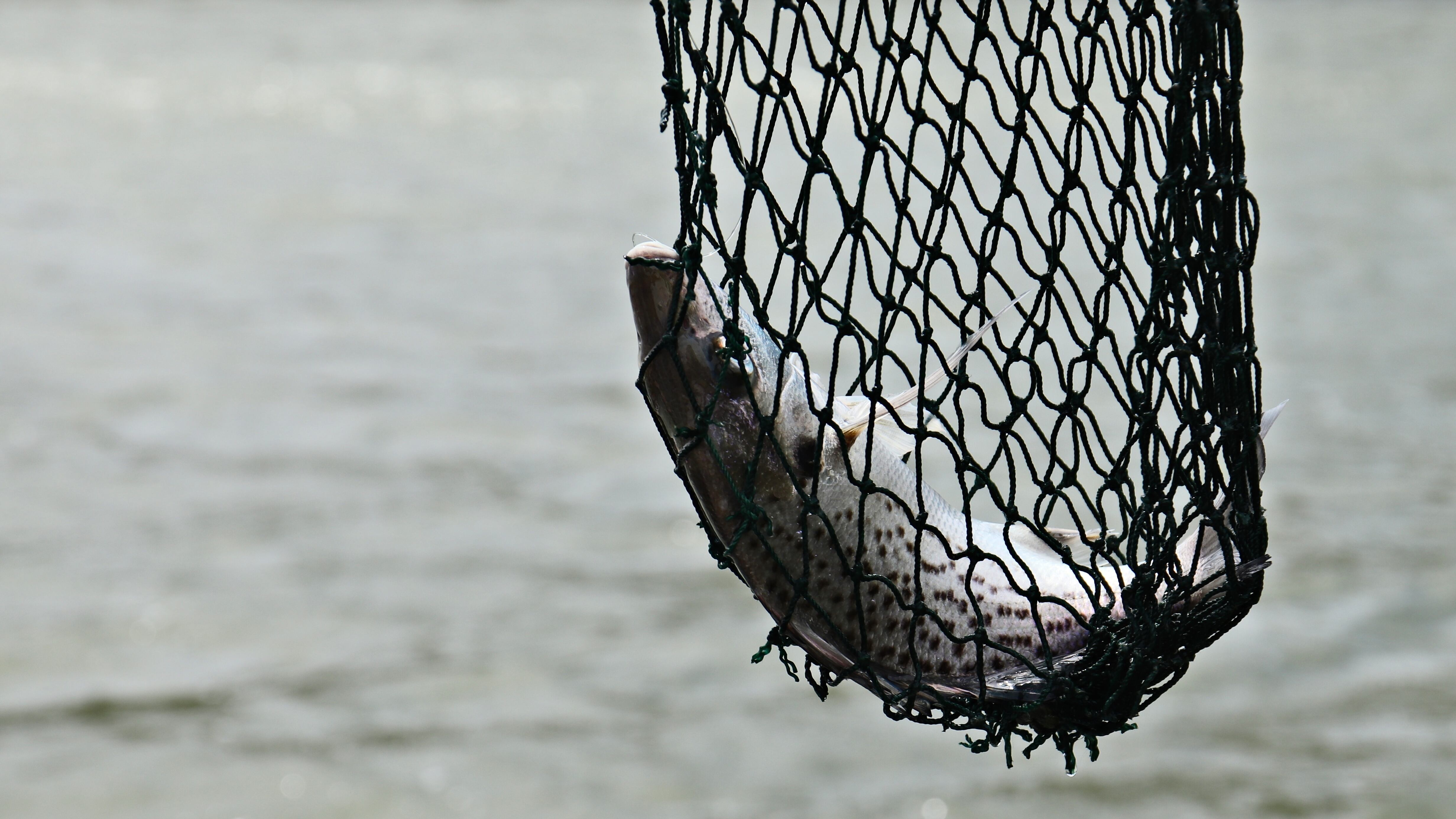 Pescadora desaparecida é encontrada com vida no AM