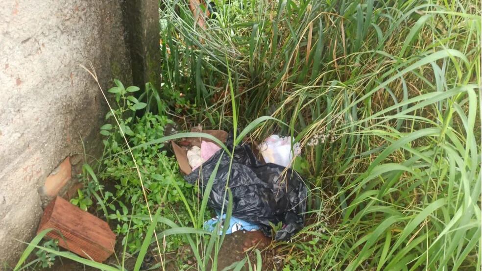 Recém-nascida é achada morta em Goiás