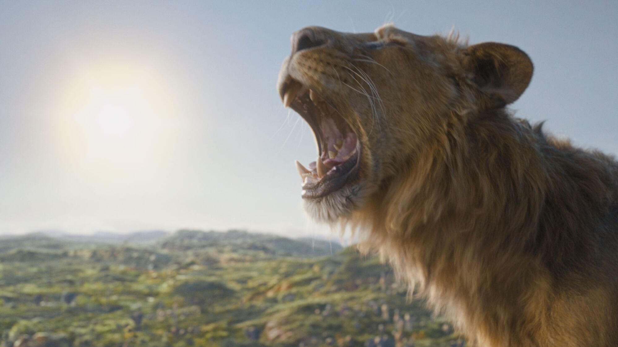 Mufasa (voiced by Aaron Pierre) in Disney’s live-action MUFASA: THE LION KING. Photo courtesy of Disney. © 2024 Disney Enterprises Inc. All Rights Reserved.