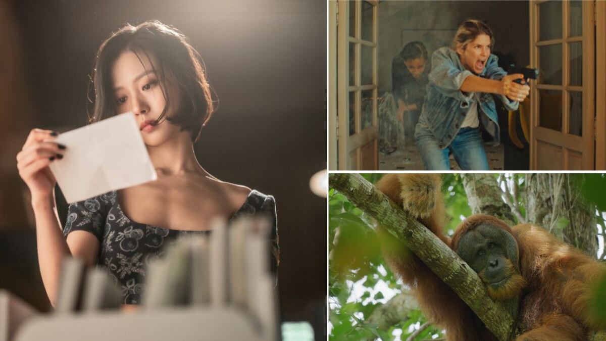 Escenas de Nadie en el bosque, Las chicas de Niza y La vida secreta de los orangutanes