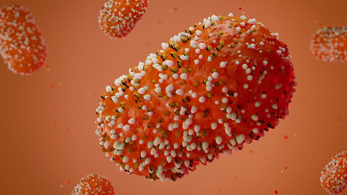 Baixada santista registra três casos de Mpox; doença foi declarada emergência global pela OMS