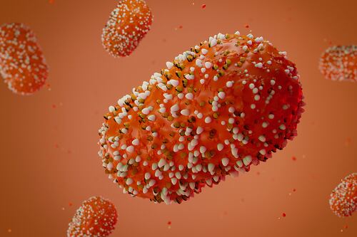 Baixada santista registra três casos de Mpox; doença foi declarada emergência global pela OMS