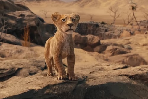 ‘Mufasa: O Rei Leão’ ganha trailer oficial; assista