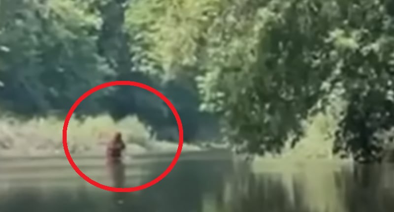 Isso é o que se sabe sobre o vídeo que mostra o ‘Pé Grande’ caminhando em rio; entenda e assista